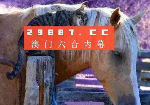 澳门一肖一码一一特一中厂|精选资料解释大全