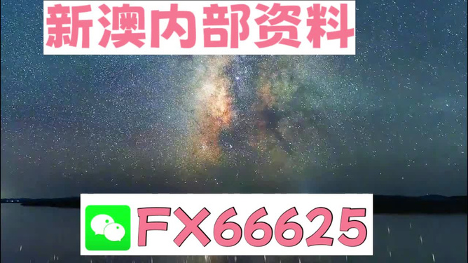 新澳2024正版资料免费公开|精选资料解释大全