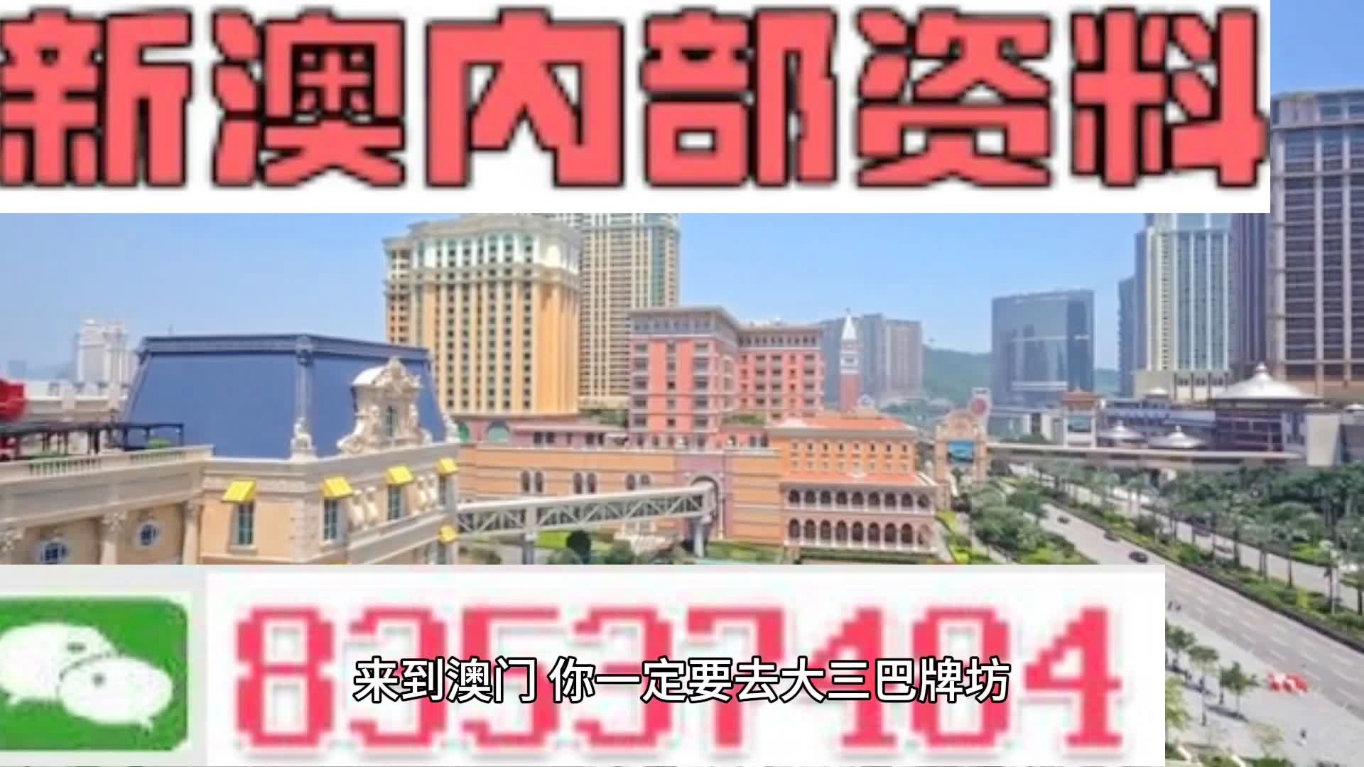 2024年新澳门王中王免费|精选资料解释大全