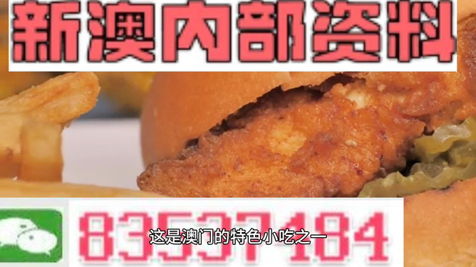 2024新澳正版免费资料|精选资料解释大全