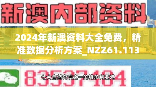 2024新奥正版资料免费|精选资料解释大全